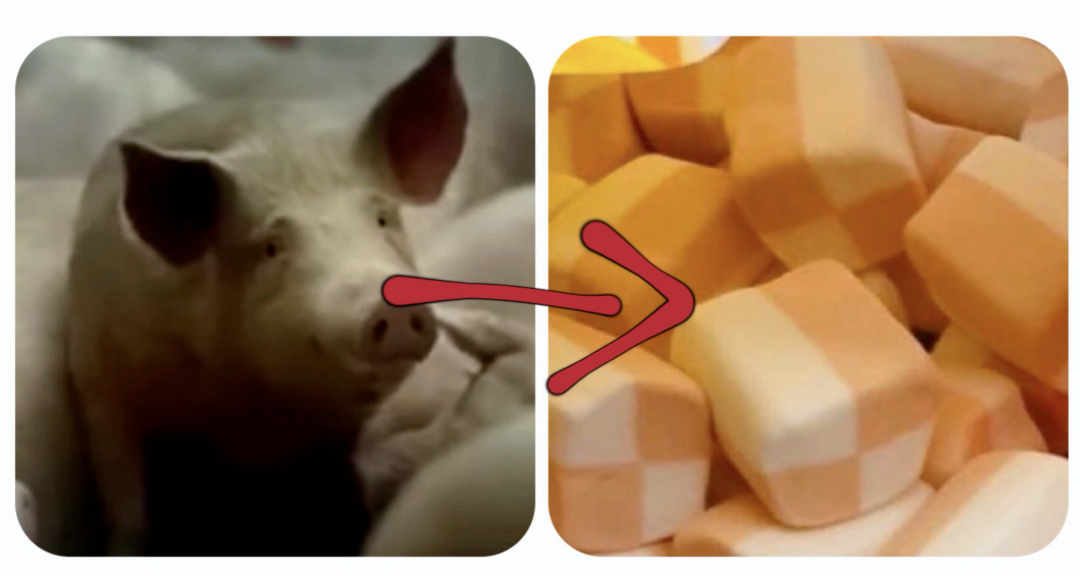 一頭豬到一包棉花糖，中間到底發生了什么？